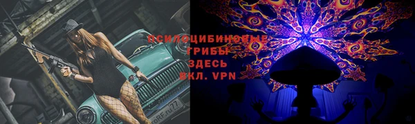 стаф Горняк