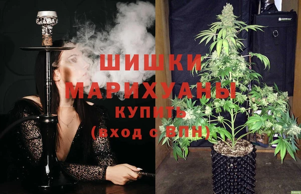 ГАЛЛЮЦИНОГЕННЫЕ ГРИБЫ Бронницы